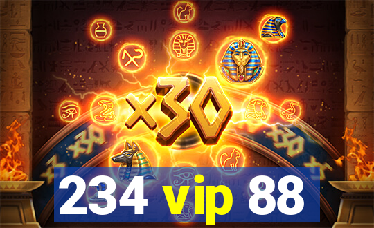 234 vip 88